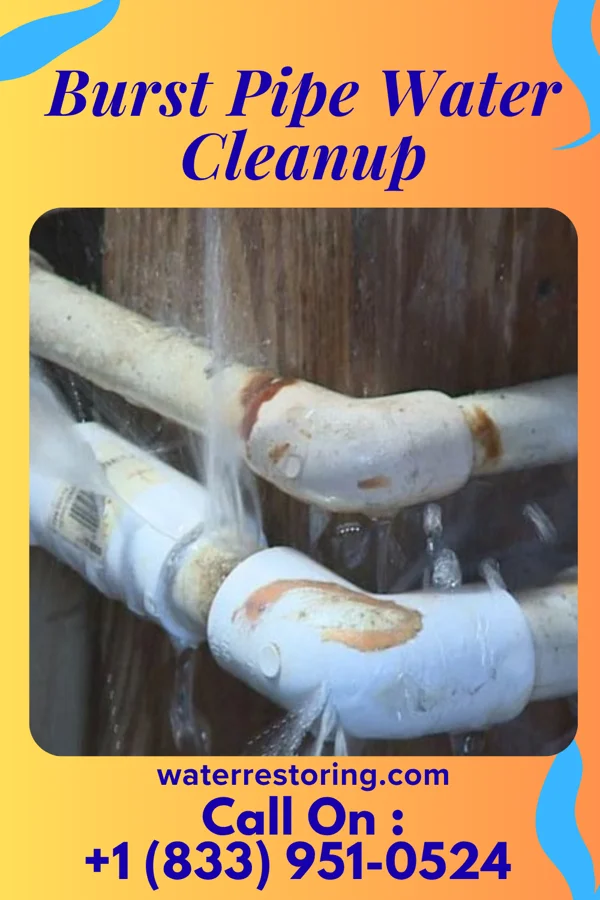 Burst Pipe Water Cleanup in Haw River, NC