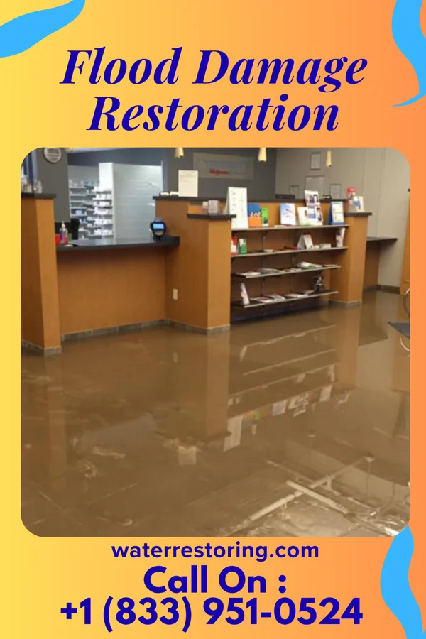 Flood Damage Restoration in Haw River, NC