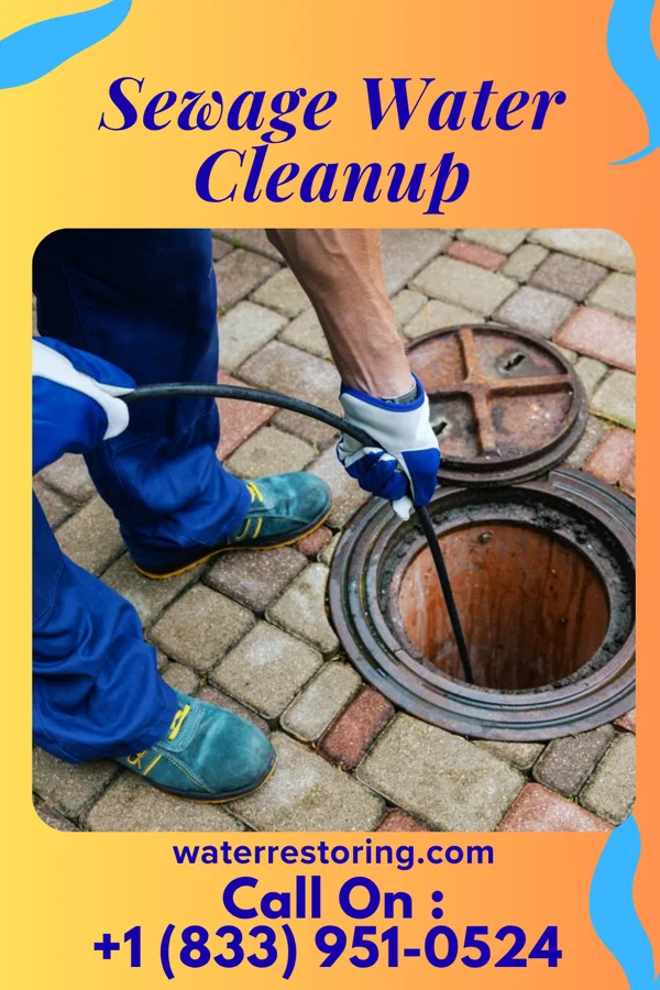 Sewage Water Cleanup in Haw River, NC